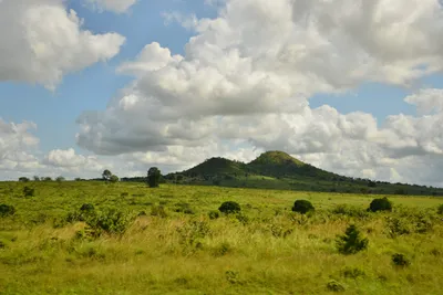 DSC_4378 (Large).JPG